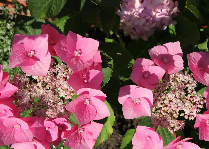 Romantik-residenz - C *